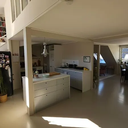 Central, Spacious Appartement Bergen